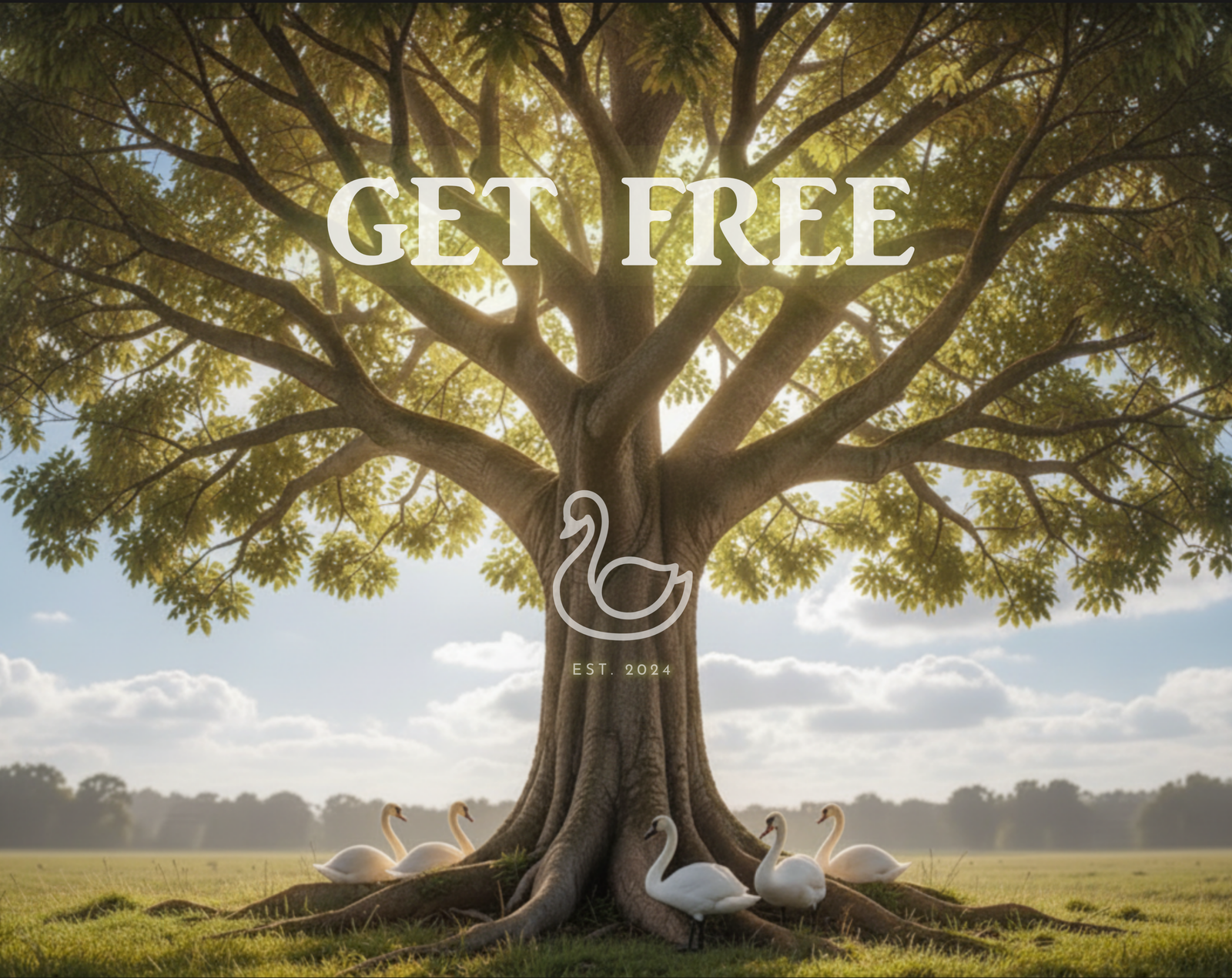 The FREE Community Corporation ™ 